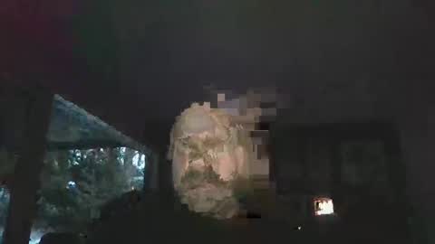 Snapshot of bulldog302w chatting on February 2026 10:41:01 PM bulldog302w online show from February 2026 10:41:01 PM