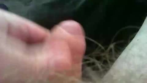 bullemoe online show from November 2025 11:23:02 AM