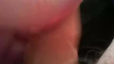 bullemoe online show from November 2025 08:04:01 AM