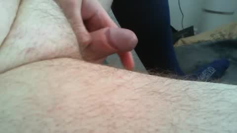 bullemoe online show from June 2026 12:08:01 PM