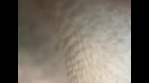 Snapshot of bullhungcub chatting on December 2024 11:40:01 PM bull cub online show from December 2024 11:40:01 PM