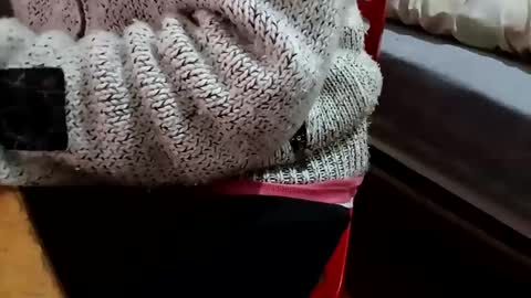 bullspain27266272 online show from February 2025 10:22:02 PM