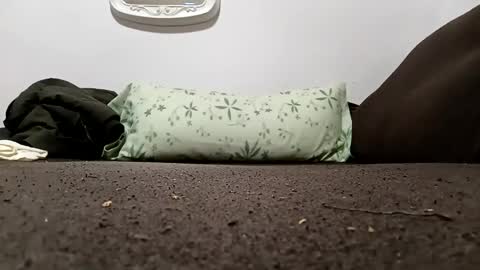 bullspain27266272 online show from January 2026 02:10:02 PM