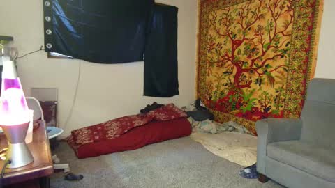 Shane online show from November 2025 04:56:01 PM