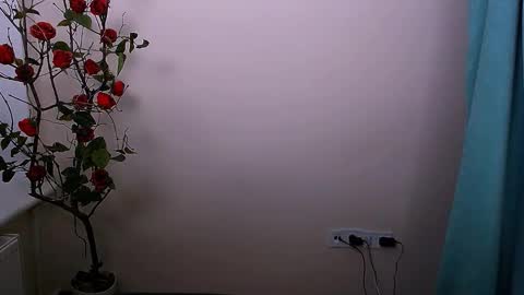 Ariel online show from October 2025 04:13:01 AM