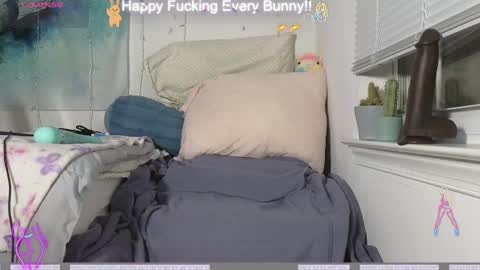 Snapshot of bunnycheekz chatting on December 2024 11:24:02 PM Tokki  bunny  online show from December 2024 11:24:02 PM