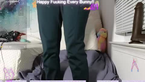 Snapshot of bunnycheekz chatting on December 2024 02:37:02 AM Tokki  bunny  online show from December 2024 02:37:02 AM