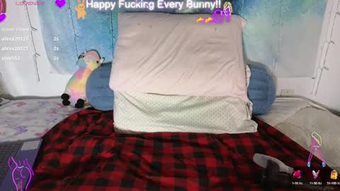 Snapshot of bunnycheekz chatting on January 2025 02:00:02 AM Tokki  bunny  online show from January 2025 02:00:02 AM