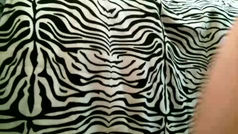 bustinfree online show from October 2025 01:12:02 PM