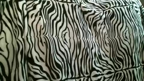 bustinfree online show from December 2025 03:53:01 PM