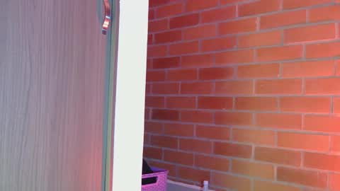 Mary  online show from February 2025 04:03:01 AM