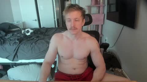 Snapshot of c00ki3m0nstr chatting on June 2026 09:29:01 PM c00ki3m0nstr online show from June 2026 09:29:01 PM