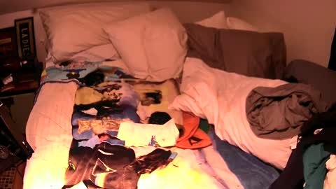 c547409 online show from October 2025 04:36:02 PM