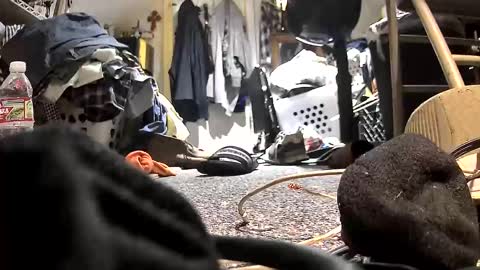 c547409 online show from October 2025 10:32:02 PM