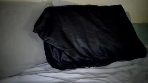 Snapshot of caligirl310r chatting on January 2025 03:50:01 PM Caligurl Queen Head Fluffer In Charge Goddess of Cocktease Mistress of Holes online show from January 2025 03:50:01 PM