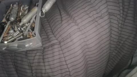 Snapshot of calisguitar chatting on February 2025 11:17:02 AM Calisguitar online show from February 2025 11:17:02 AM