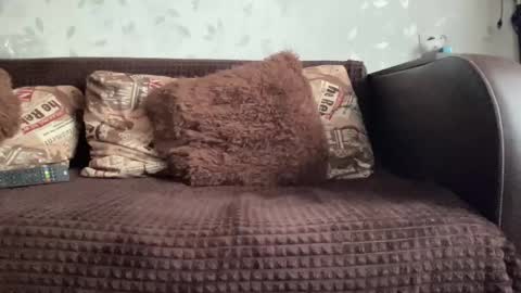 Anna online show from December 2024 10:22:01 AM