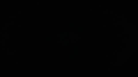 Charly online show from April 2026 12:49:01 PM