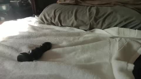 CanadianBoy88 online show from January 2025 07:24:01 PM