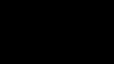   online show from February 2025 08:20:02 PM