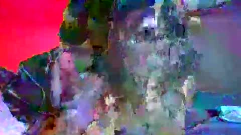 candy kyle online show from October 2025 10:28:02 PM