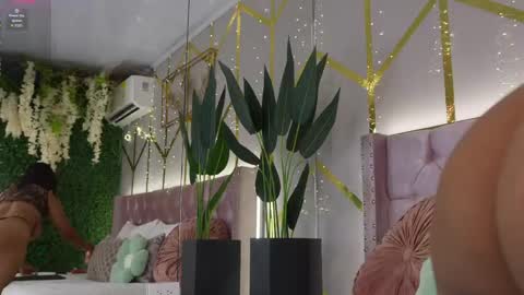 Snapshot of canela_montiel chatting on June 2026 12:52:02 PM canela_montiel online show from June 2026 12:52:02 PM