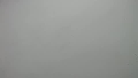 Snapshot of carla_perverted chatting on February 2025 03:05:02 PM carla online show from February 2025 03:05:02 PM