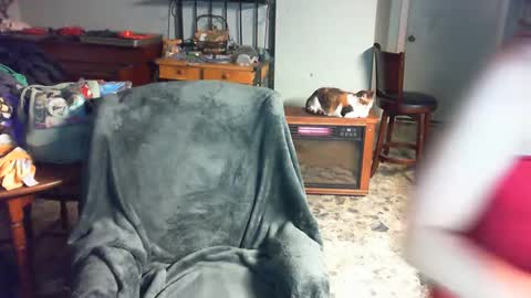 Carley online show from December 2024 03:47:02 AM