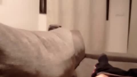 carlitito1 online show from October 2025 05:35:01 PM