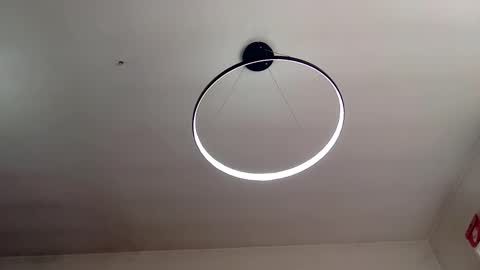 Carlos online show from February 2025 08:46:02 AM