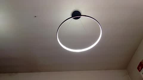 Carlos online show from February 2025 11:50:02 AM