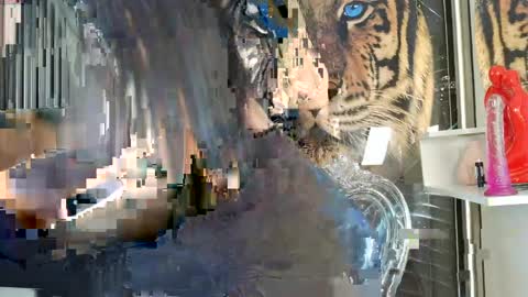 Carolay online show from April 2026 03:45:01 AM