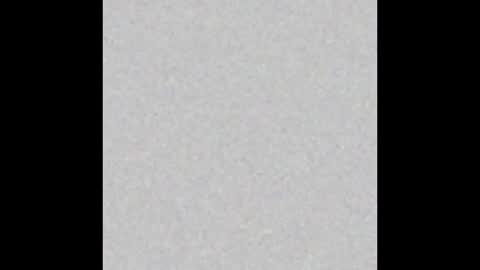 carolina online show from December 2024 03:51:01 AM