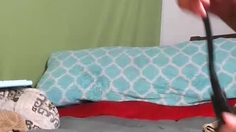 Snapshot of carolinayungin96 chatting on November 2025 10:43:02 PM carolinayungin96 online show from November 2025 10:43:02 PM