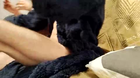 Snapshot of casal_301 chatting on February 2025 10:20:02 PM casal_301 online show from February 2025 10:20:02 PM