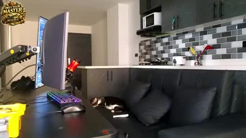 Snapshot of cash_master777 chatting on May 2026 01:07:01 PM cash_master777 online show from May 2026 01:07:01 PM