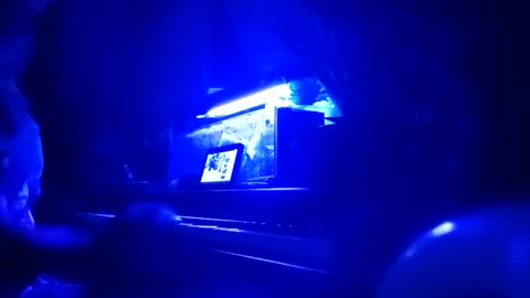 cassandra1369 online show from September 2025 12:03:02 AM