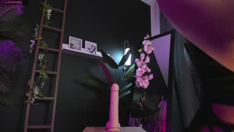 assie online show from February 2025 02:59:02 AM