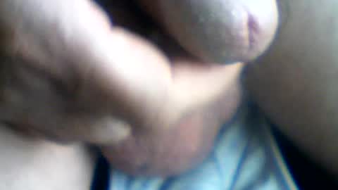 castells online show from July 2026 03:47:01 PM