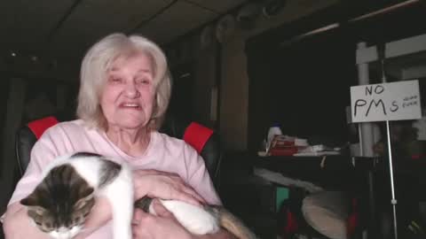 cat online show from February 2025 09:31:01 PM