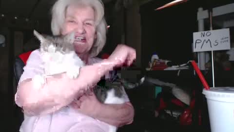 cat online show from February 2025 06:26:01 PM