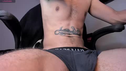 Snapshot of cat_cash_ chatting on February 2025 08:17:01 AM cat_cash_ online show from February 2025 08:17:01 AM