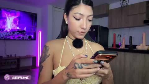 Snapshot of cat_didy chatting on May 2026 02:55:02 PM Didy online show from May 2026 02:55:02 PM