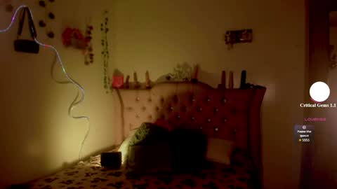 cata__mw online show from April 2026 07:29:02 PM