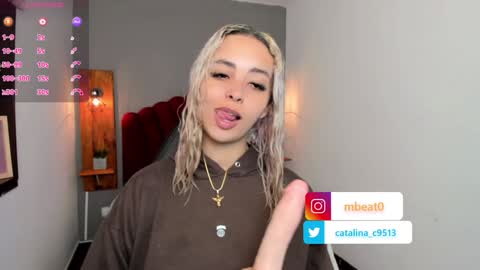 Snapshot of catalina_clark chatting on December 2024 12:27:01 PM Catalina online show from December 2024 12:27:01 PM