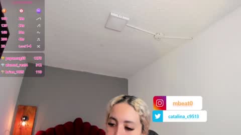 Snapshot of catalina_clark chatting on January 2025 08:22:01 PM Catalina online show from January 2025 08:22:01 PM