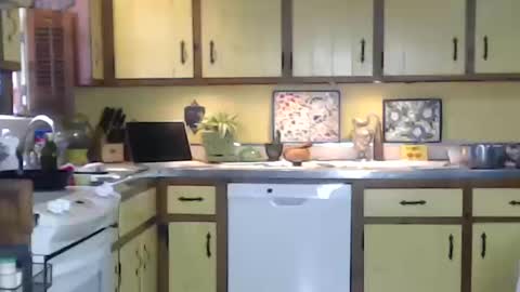 Snapshot of catalystic chatting on October 2025 03:33:02 PM CATALYSTIC online show from October 2025 03:33:02 PM