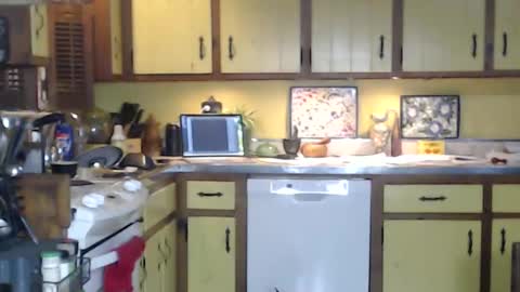 Snapshot of catalystic chatting on October 2025 10:38:01 AM CATALYSTIC online show from October 2025 10:38:01 AM