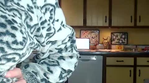 Snapshot of catalystic chatting on October 2025 12:56:02 PM CATALYSTIC online show from October 2025 12:56:02 PM