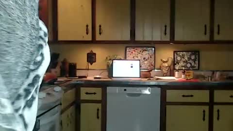 Snapshot of catalystic chatting on October 2025 11:27:01 AM CATALYSTIC online show from October 2025 11:27:01 AM